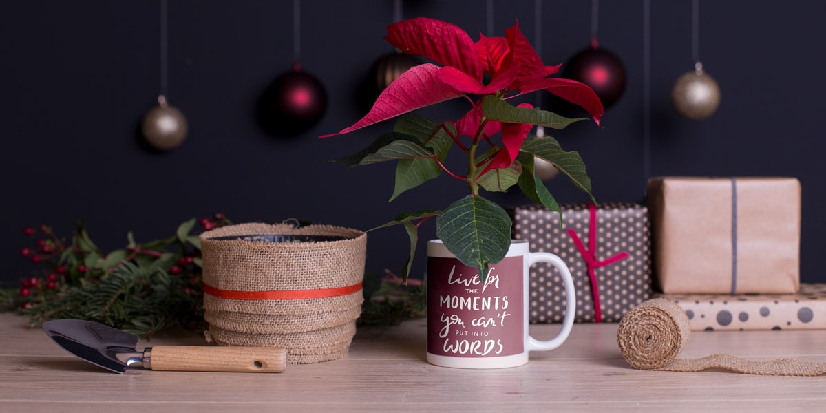 personalised-mug-gift-ideas