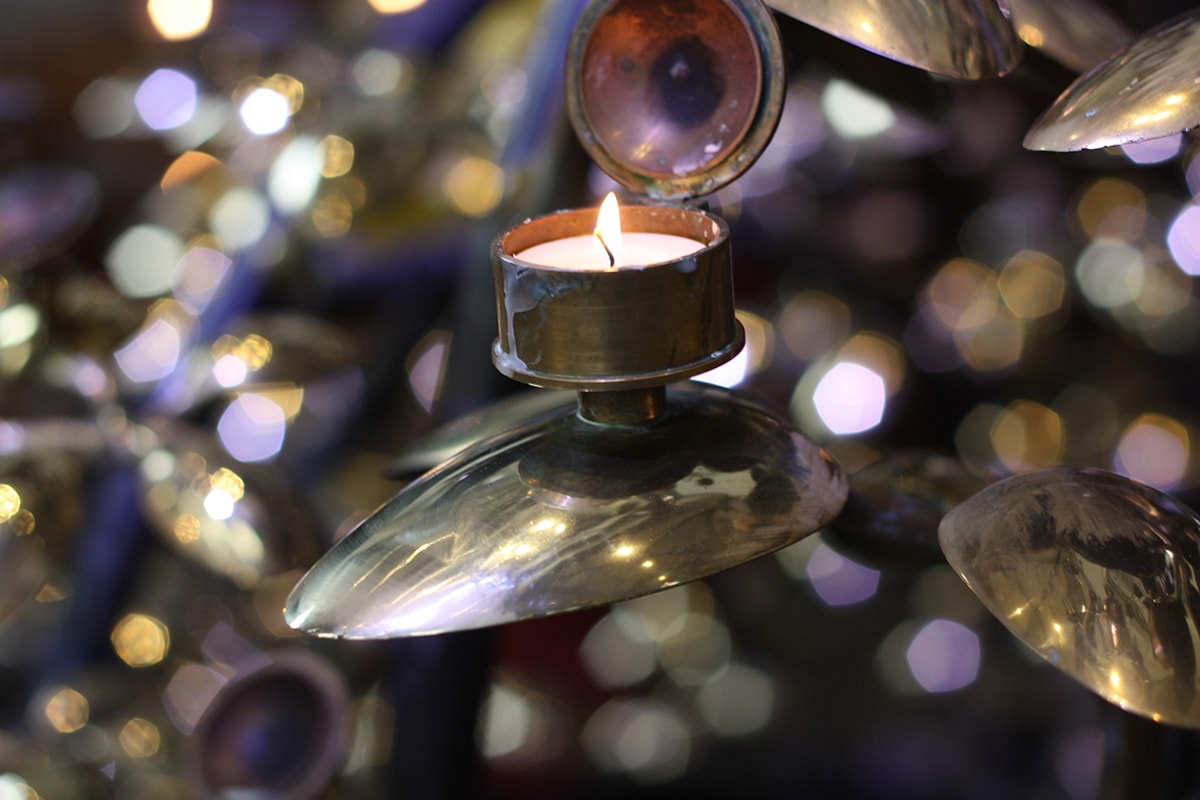 Photograhie-bokeh-macro