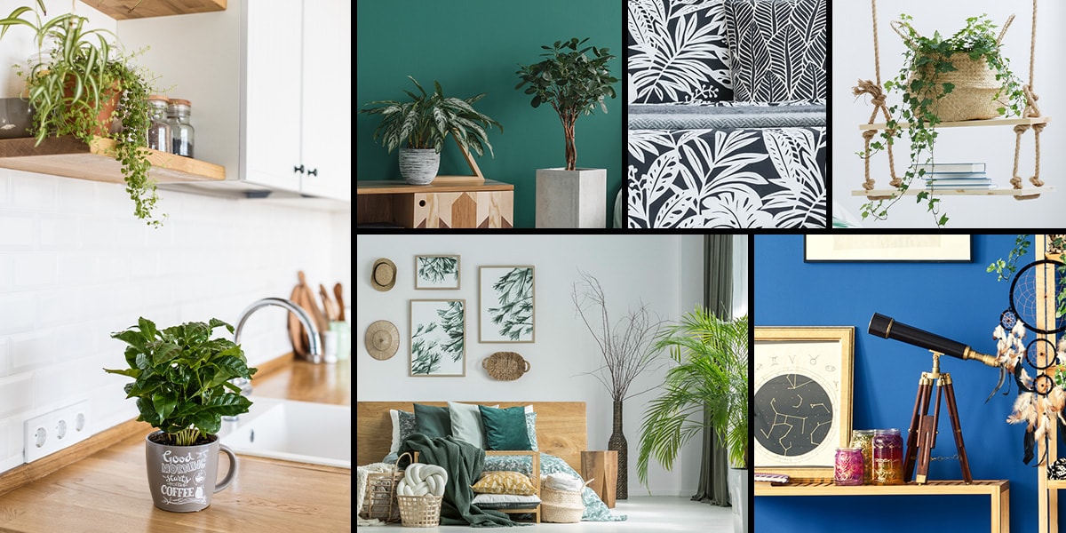 Mosaïque photo de six images résumant les tendances de déco intérieure du printemps 2019, notamment des motifs feuilles, des tons naturels et des plantes d'intérieur.