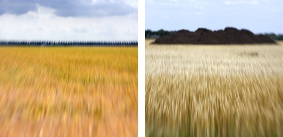 Hollands_landschap_duo Tweeluik Hollands landschap Petra Oldengarm