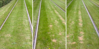 Tramrails Drieluik tramraisl Petra Oldengarm