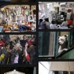 Aday.org foto's van het dagelijks leven