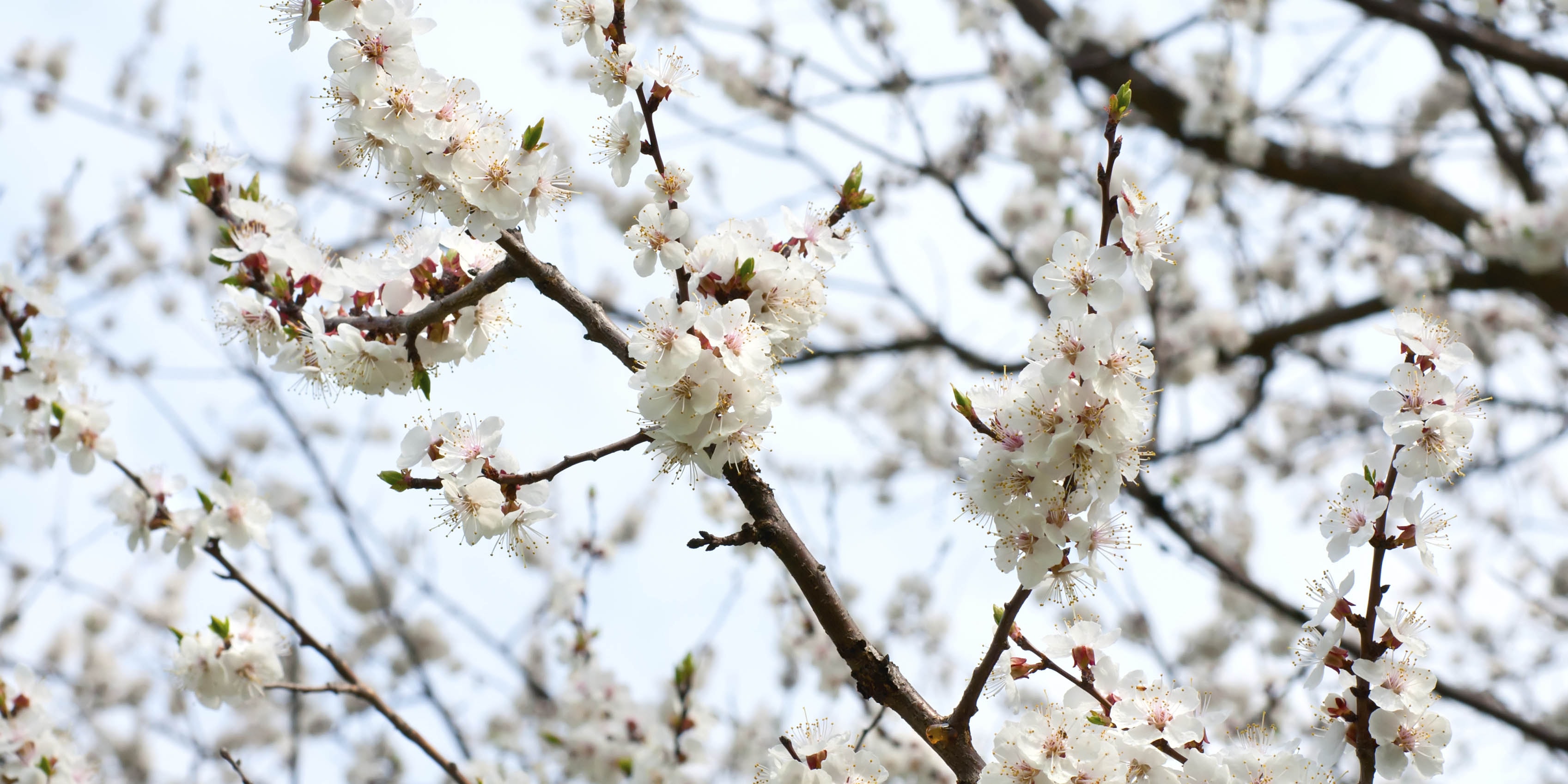 monthly moments april