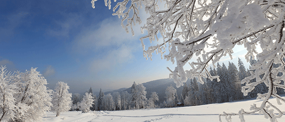 4 conseils photo pour cet hiver