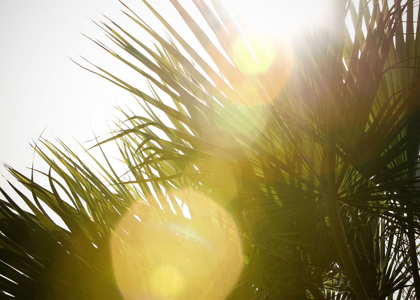 Sonnenflecken als Highlight auf einem Foto erzeugen Sonnenflecken auf den Fotos erschaffen
