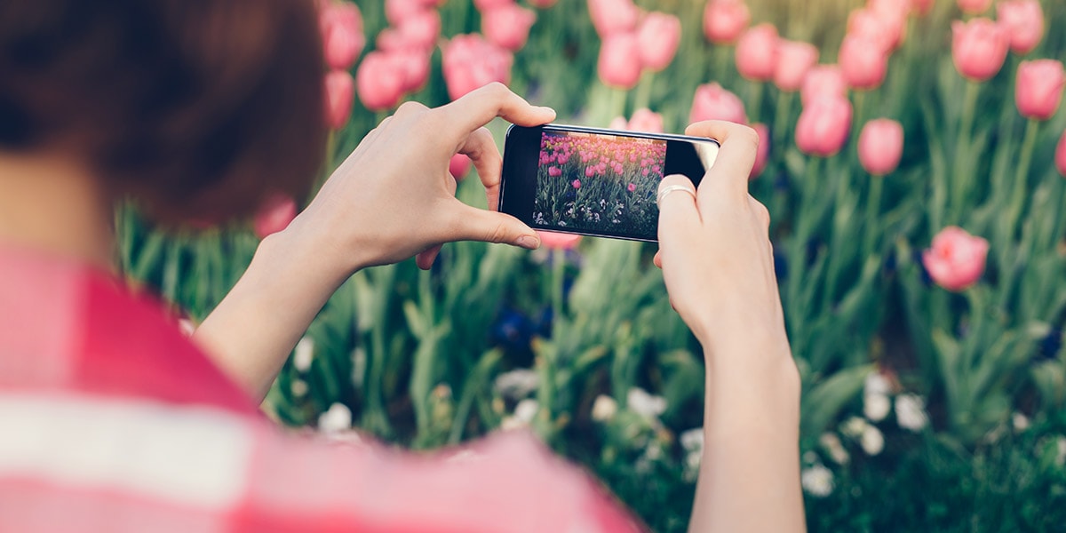 5 smartphone photography tips to make the most of your mobile | bonusprint  blog
