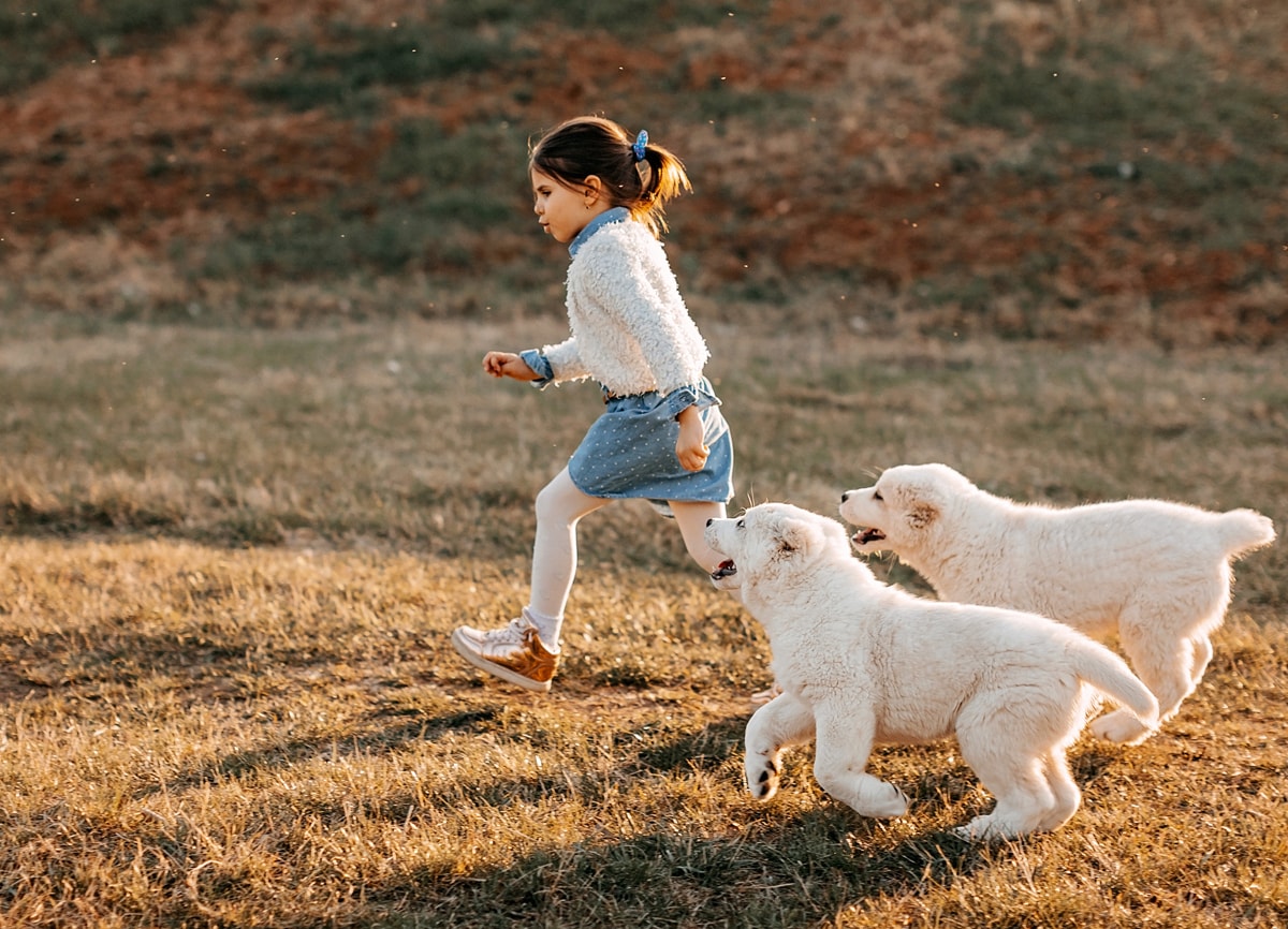 An action shot of a little girl and two dogs running around on a small grassy hill.