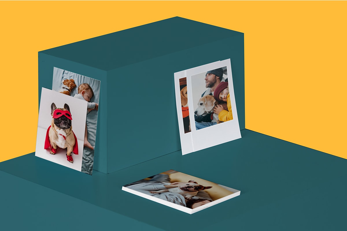 A selection of photo print on a green pedestal with a yellow background