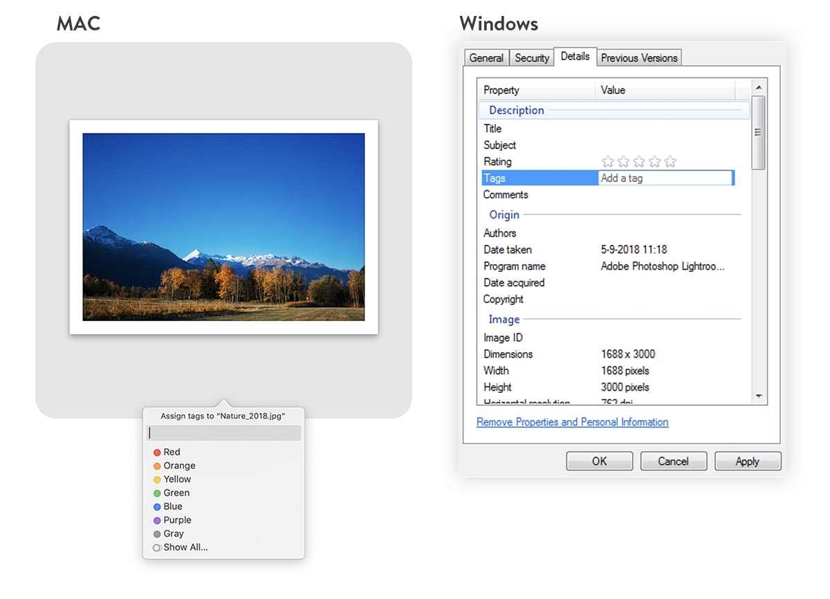 Ein Vorschaubild eines Fotos mit Bergen auf der linken Seite und ein Drop-Down-Menü zur Datei-Umbenennung unterhalb des Bildes. Auf der rechten Seite ist ein Screenshot des Datei-Benennungsprozesses für einen Windows-Computer zu sehen.