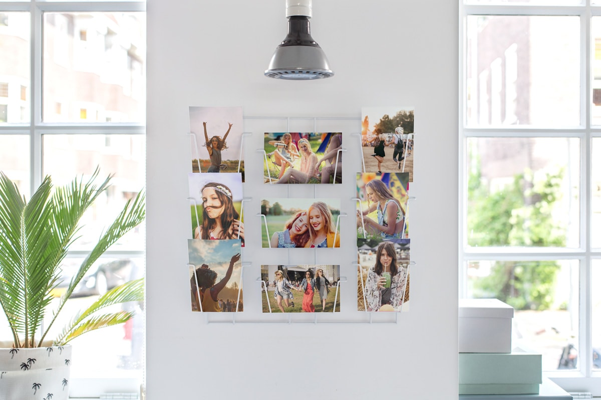 A selection of photo prints with festival photos on, in wire racks on a wall, next to a window, surrounded by plants.