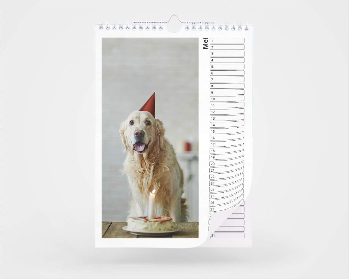 Kalender maken » Fotokalender » Begin nu! | Albelli