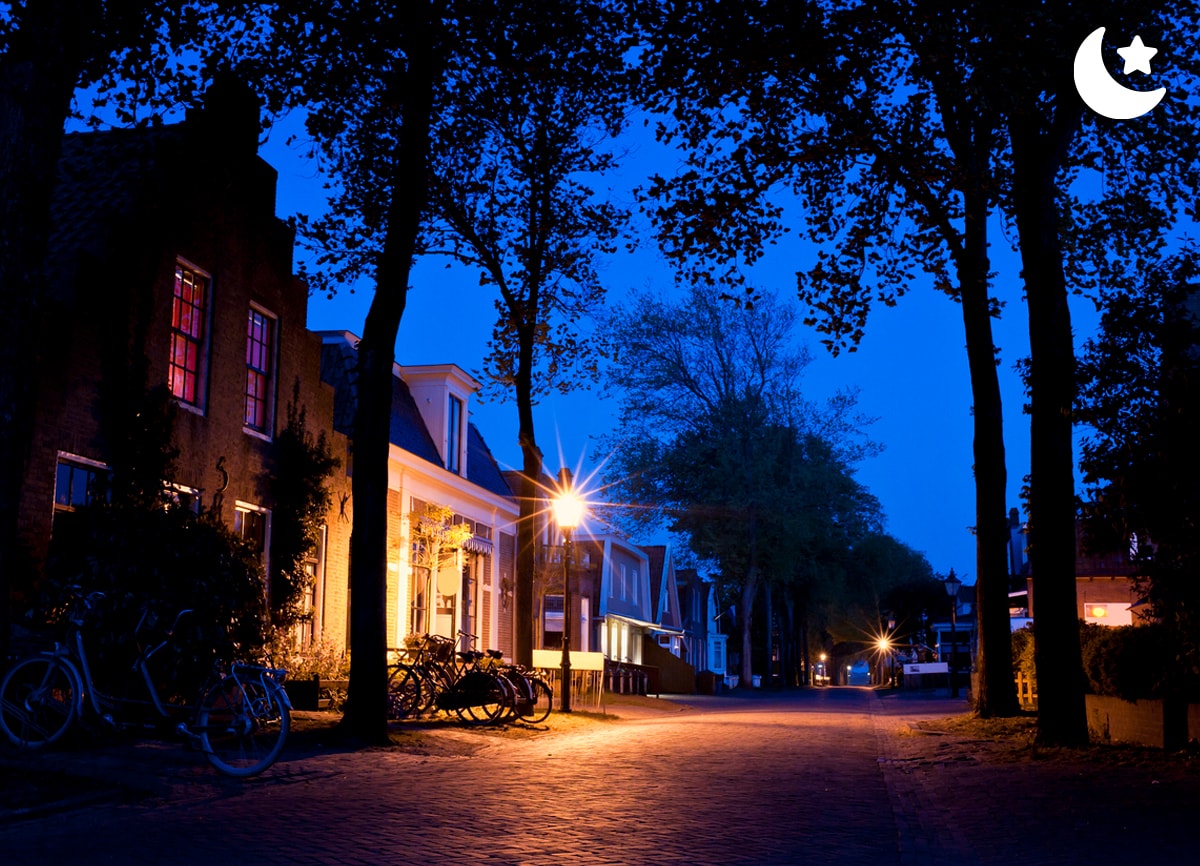 Een rustige, met bomen bedekte, voorstedelijke straat, 's nachts genomen.