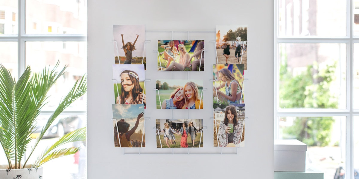 Een selectie van foto-afdrukken met festivalfoto's op in gaasdragers op een muur, naast een raam, omgeven door planten.