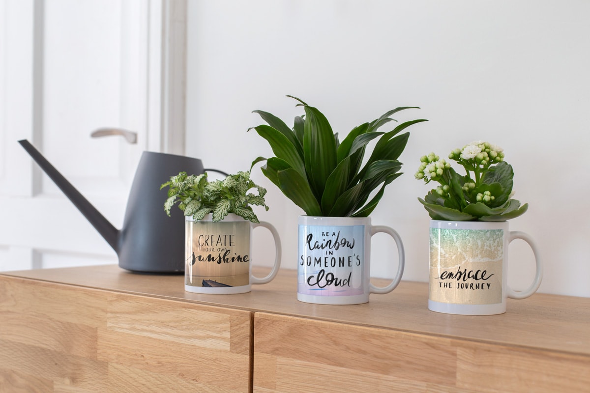 Dekorere-hjem-fotoprodukter-kopper-planter-potter